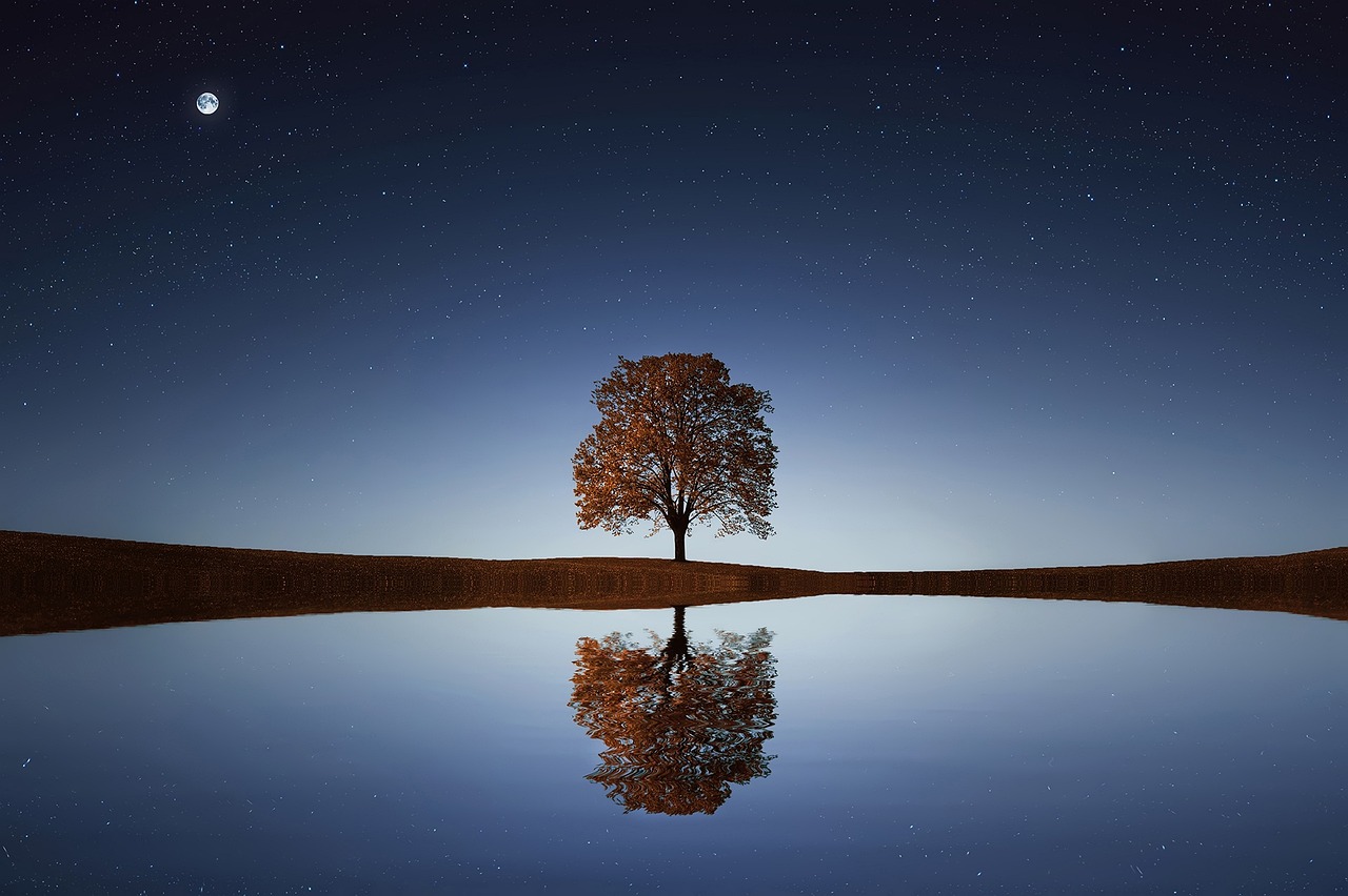 tree, clouds, fields-832079.jpg